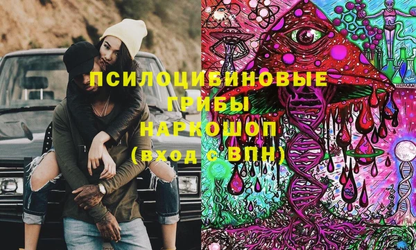 герыч Алексин