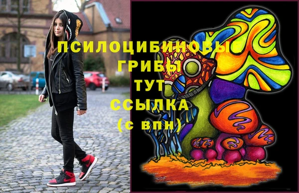 герыч Алексин